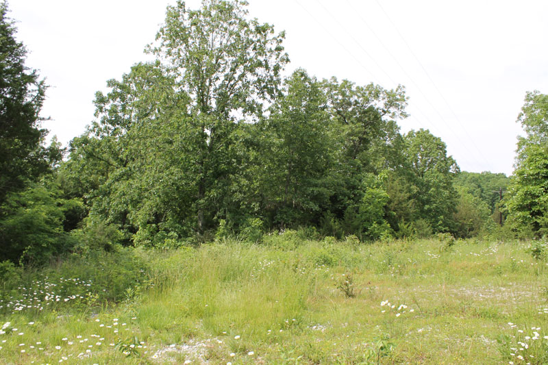 Tract 11 at Cedar Ridge Ranch in Phelps County, Missouri