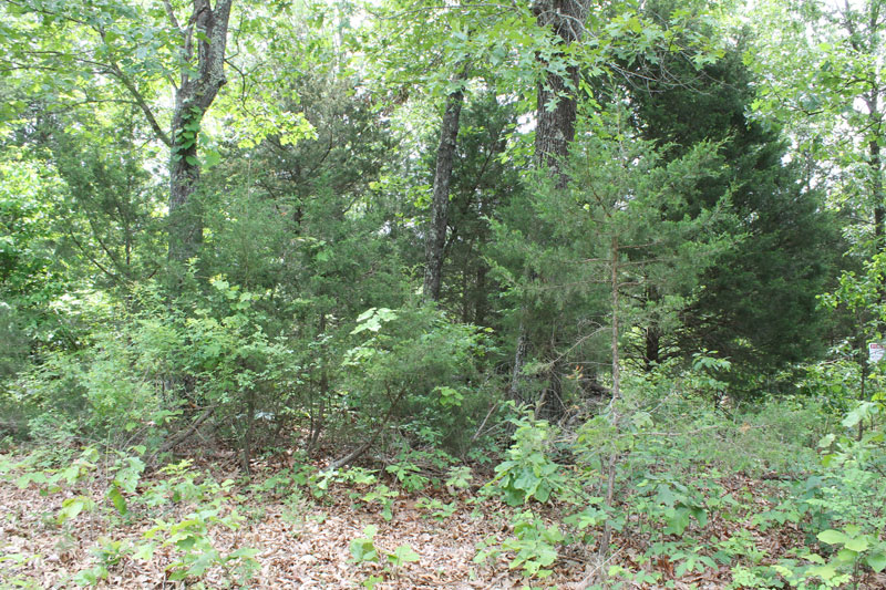 Tract 16 at Cedar Ridge Ranch in Phelps County, Missouri