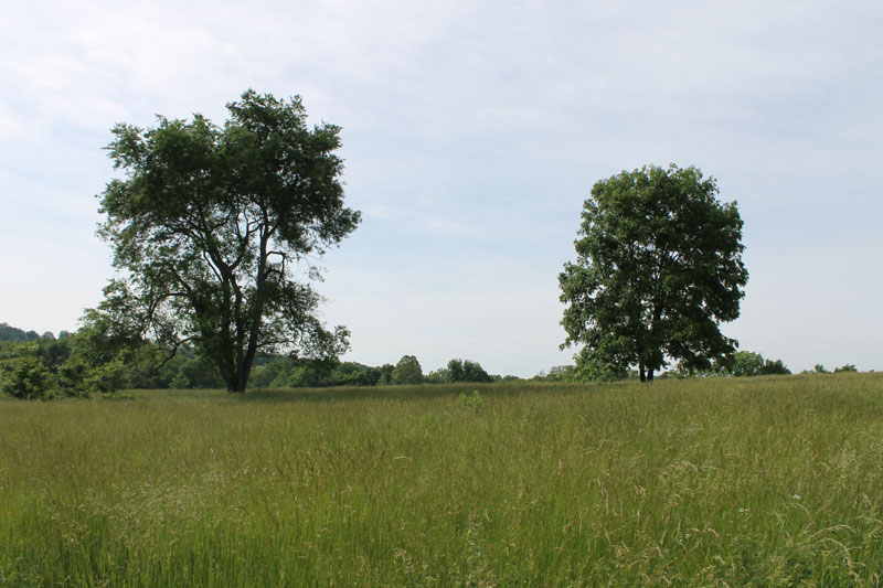 Tract 2 at Cedar Ridge Ranch in Phelps County, Missouri