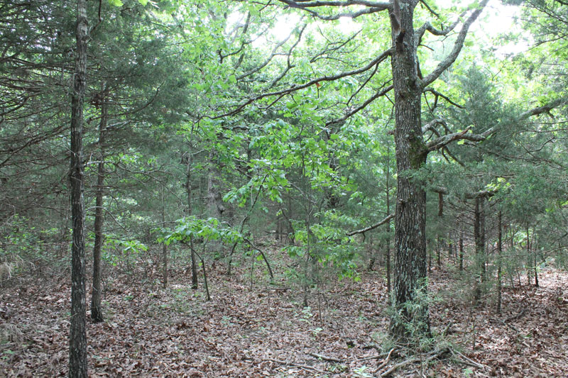 Tract 33 at Cedar Ridge Ranch in Phelps County, Missouri