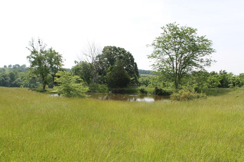 Tract 7 at Cedar Ridge Ranch in Phelps County, Missouri