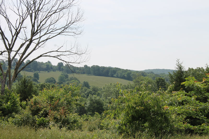 Tract 8 at Cedar Ridge Ranch in Phelps County, Missouri